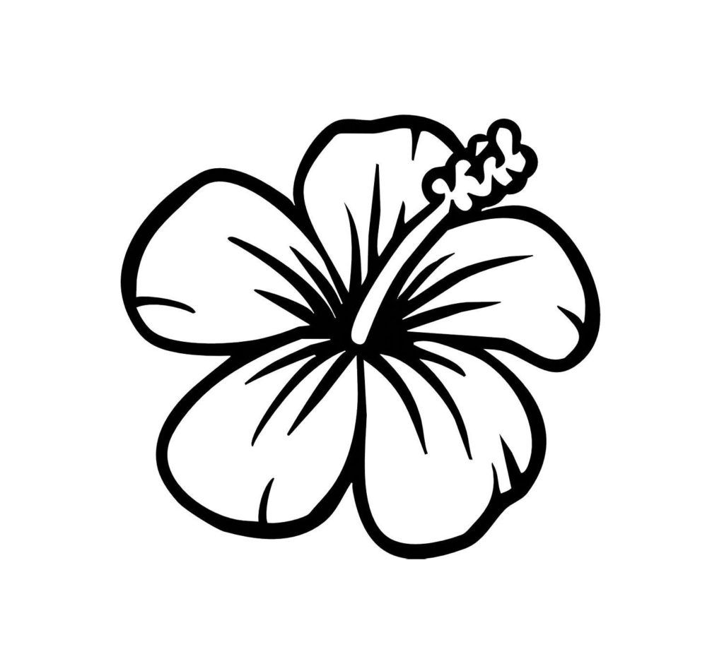 Tropical Flowers Coloring Pages 1024x950 Tropical Flowers Coloring Pages