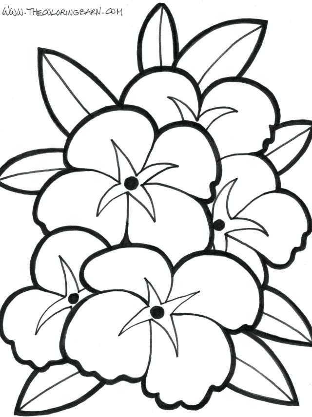 Coloring Pages Flower Coloring Pages Flower Coloring Pages Best 640x856 Coloring Pages Flower Coloring Pages Flower Coloring Pages Best