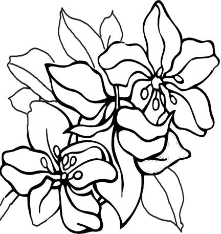 Coloring Pages Of Cool Designs Free Coloring Pages With A Feel 432x457 Coloring Pages Of Cool Designs Free Coloring Pages With A Feel