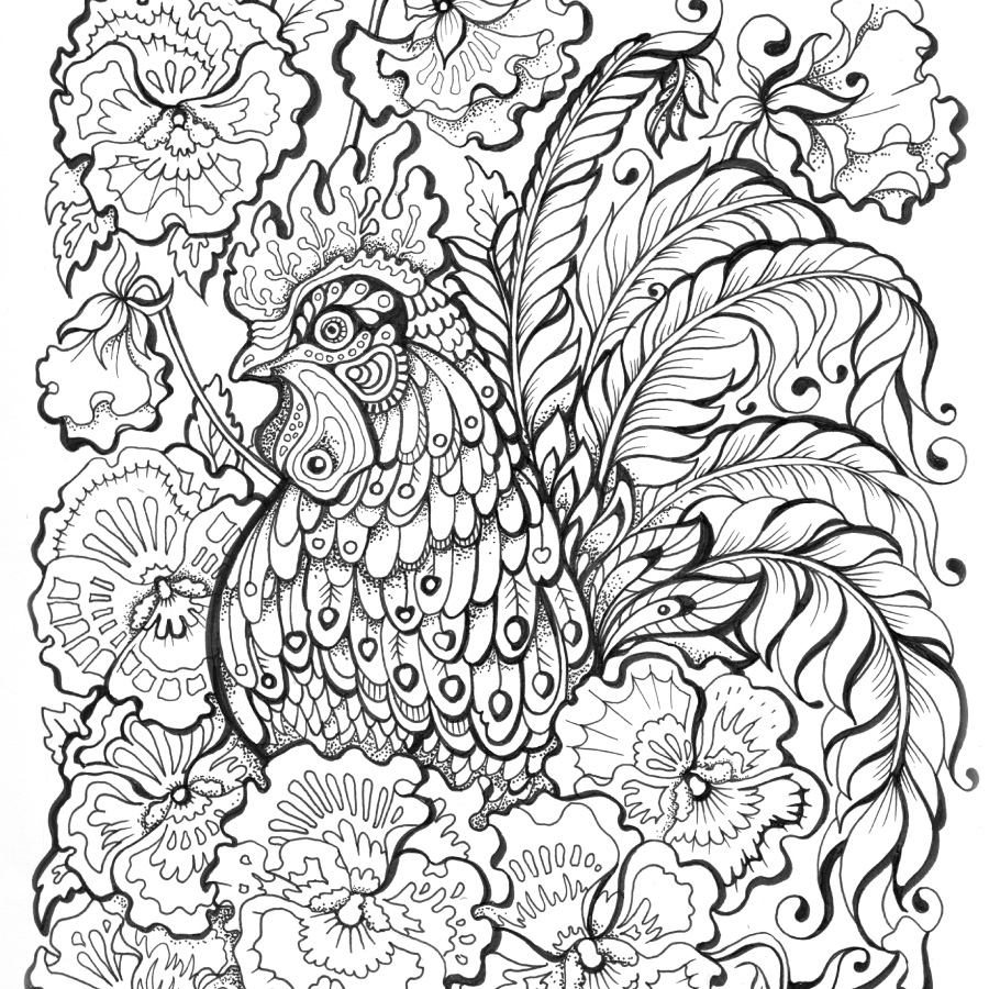 Sakura Of America 900x900 Sakura Of America