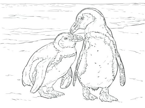 480x360 Endangered Species Coloring Pages Endangered Animals Coloring Book