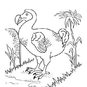 300x300 Fur, Feathers, Ferns Bears Adventure. Great Coloring Sheets