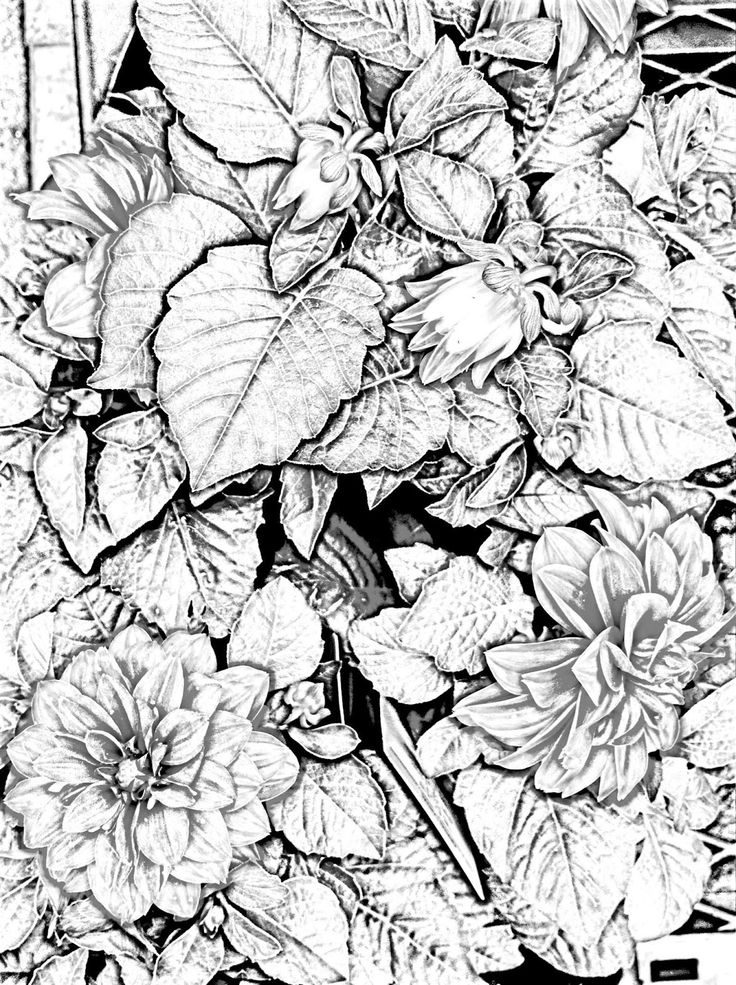 Extreme Coloring Pages 736x985 Extreme Coloring Pages