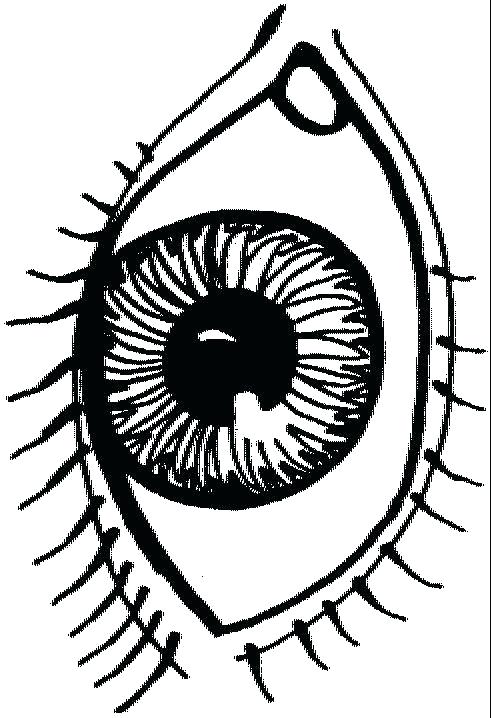 491x718 Eyes Coloring Page Eye Coloring Page Healthy Eyes Sun On Pages