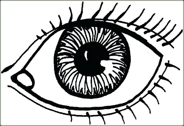 718x491 Human Eye Coloring Page
