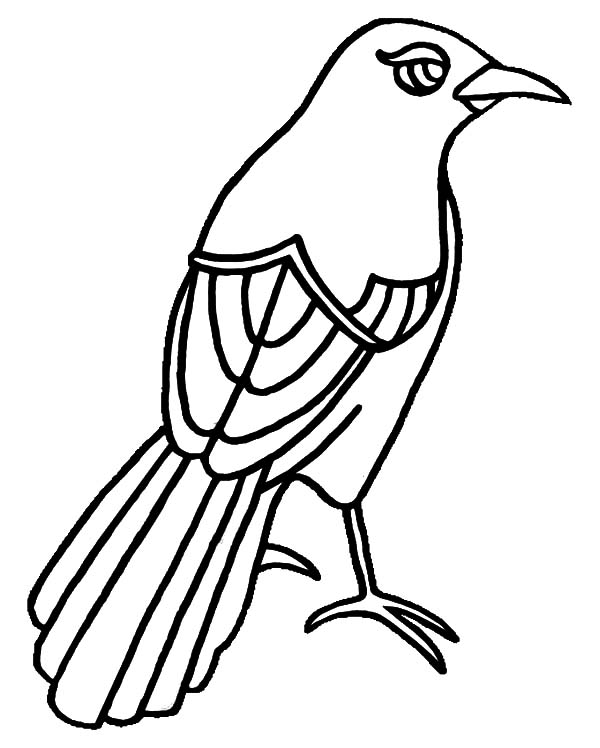 600x748 Texas Mockingbird Has Beautiful Eye Coloring Pages Color Luna