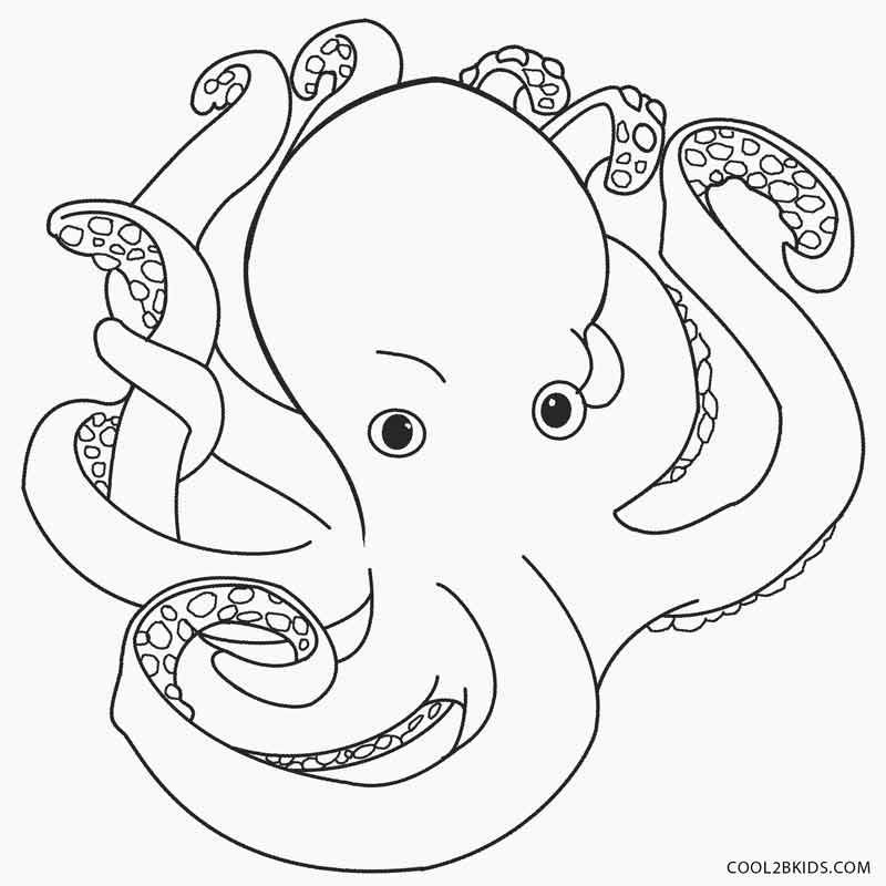 Printable Octopus Coloring Page For Kids Cool2bkids 800x800 Printable Octopus Coloring Page For Kids Cool2bkids
