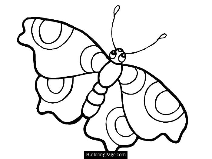 Uncategorized Butterfly Big Eyes Coloring Pages For Printable 700x525 Uncategorized Butterfly Big Eyes Coloring Pages For Printable