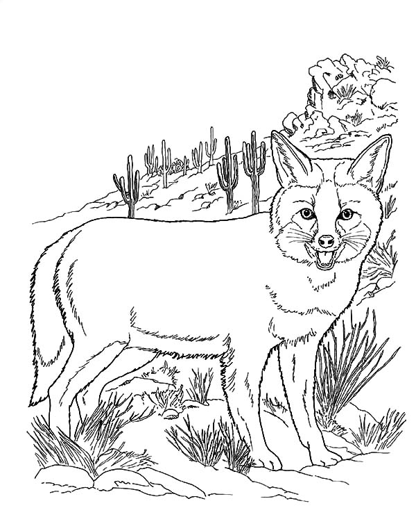 600x731 F16 Jet Fighter Airplane Coloring Page