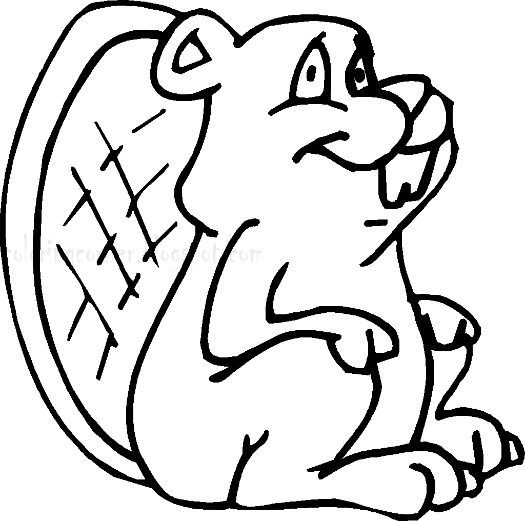 1024x1016 New Beaver Coloring Page Collection Printable Coloring Sheet