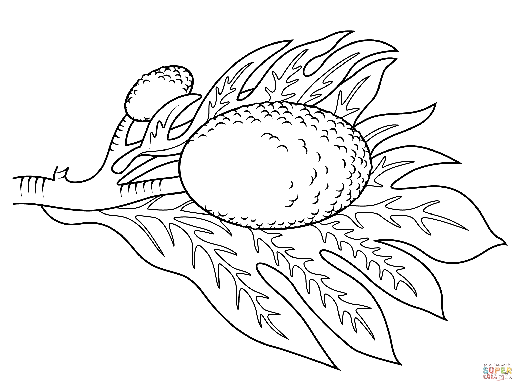 2046x1526 Breadfruit Coloring Pages Printable Coloring For Kids 2018
