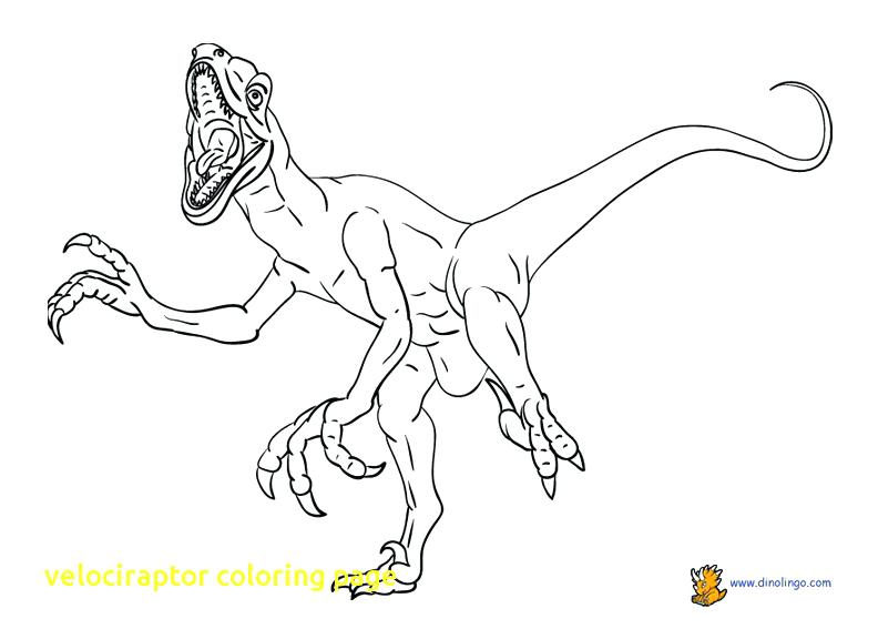 792x576 Velociraptor Dinosaur Coloring Pages