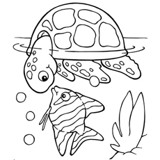 230x230 Fair Coloring Pages Fish Colouring Photos Of Amusing Top 25 Free