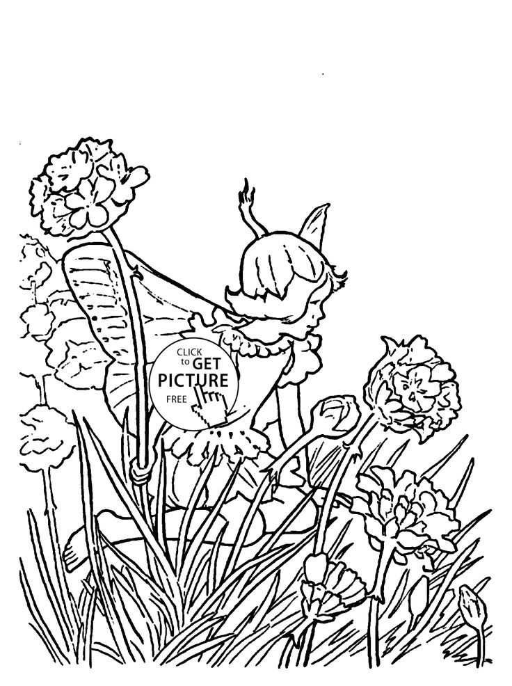 Fairy Coloring Pages Girls Awesome 57 Best Coloring Pages 736x986 Fairy Coloring Pages Girls Awesome 57 Best Coloring Pages