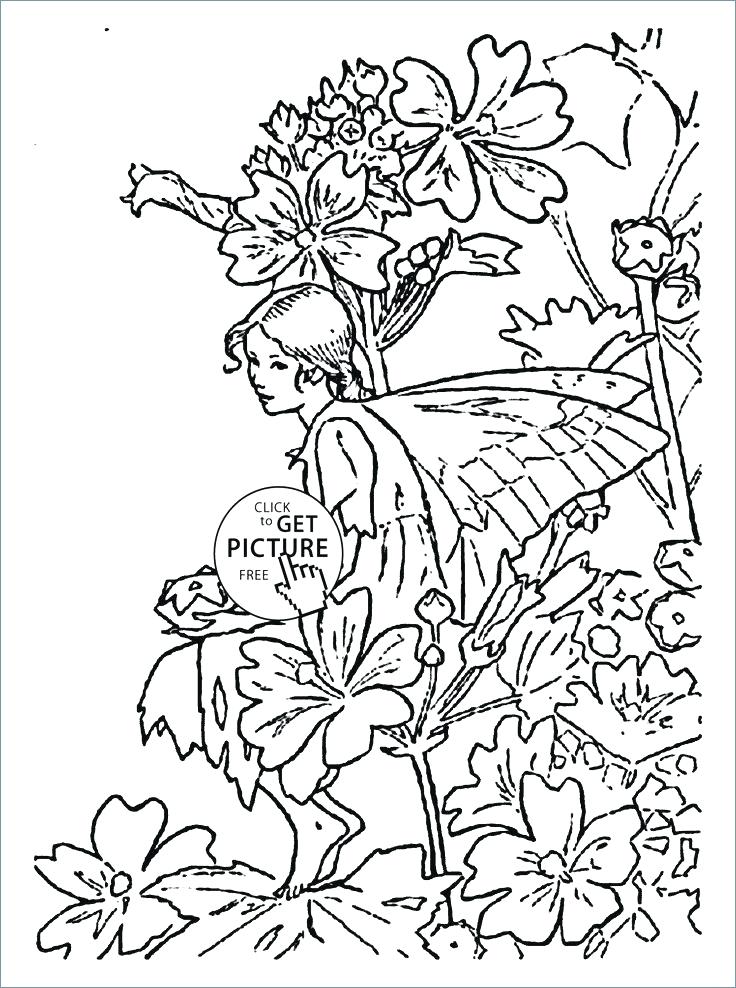 Flower Fairy Coloring Pages 736x988 Flower Fairy Coloring Pages