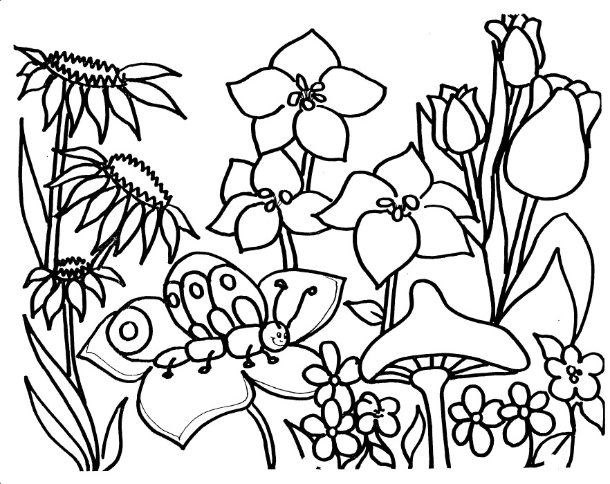 Coloring Fairy Garden Coloring Pages 882x700 Coloring Fairy Garden Coloring Pages