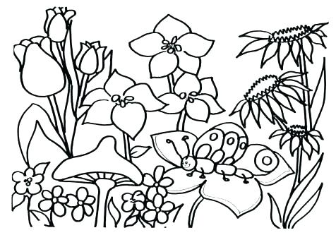 Coloring Pages Garden Fairy Garden Coloring Pages Fresh Flower 476x333 Coloring Pages Garden Fairy Garden Coloring Pages Fresh Flower