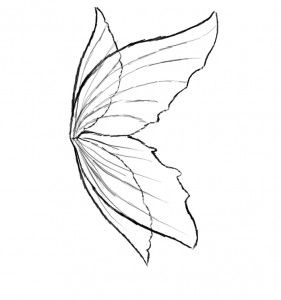 281x300 Fairy Wings To Color Fairy Wings Coloring Page Ready Printed Pic