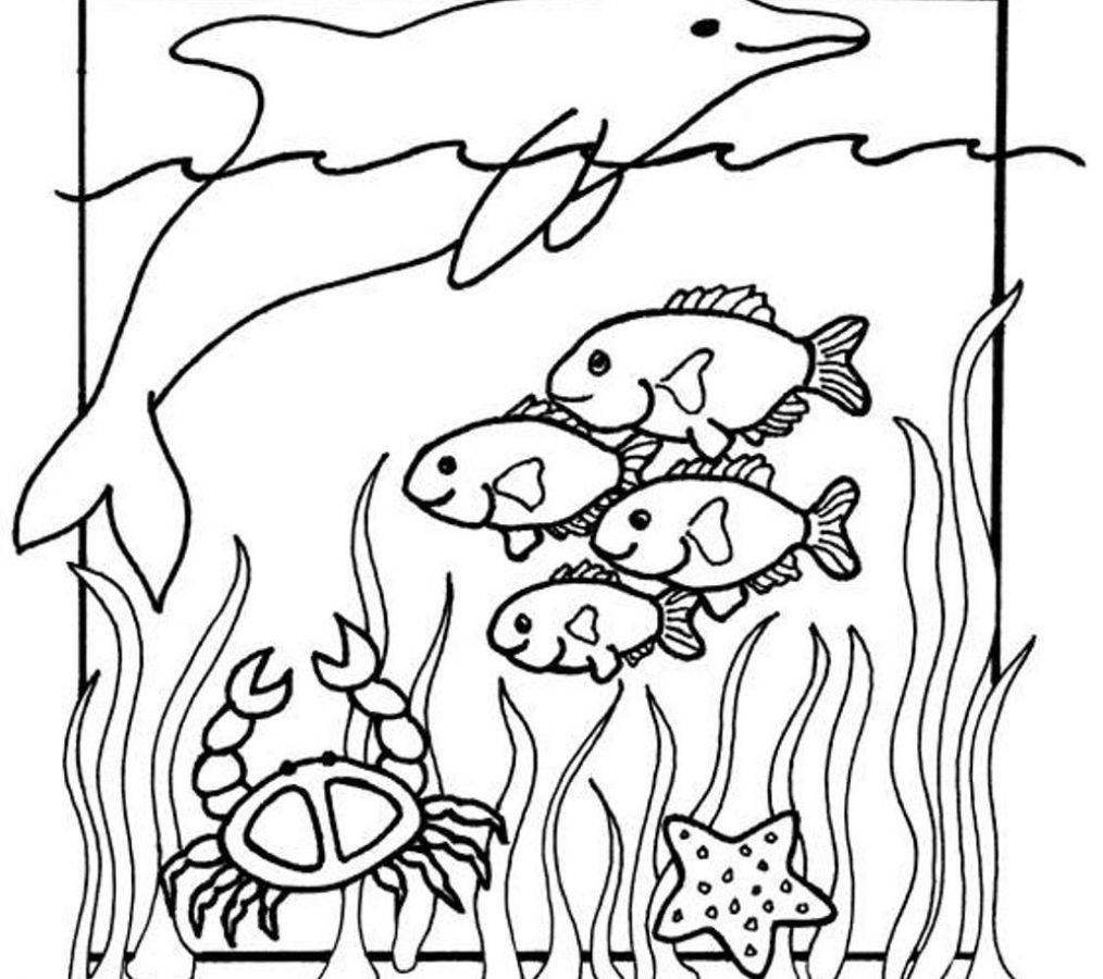1014x900 Awesome Sea Animal Coloring Pages Printable Free Gallery