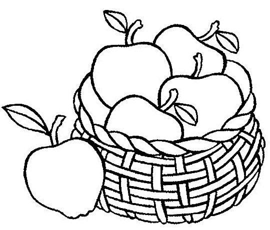 540x461 Fall Apple Coloring Pages Color Bros