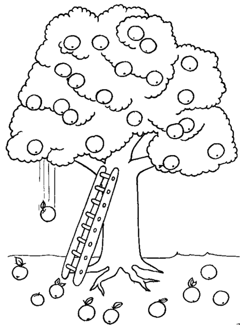 771x1042 New Fruit Tree Coloring Pages Design Printable Coloring Sheet