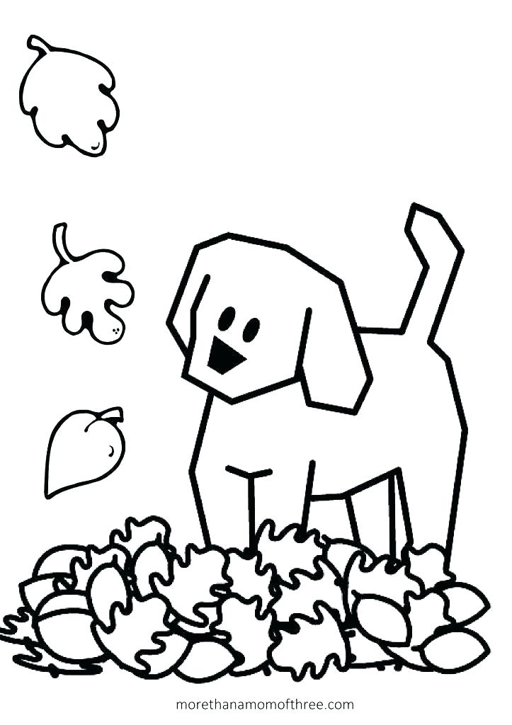 Fall Coloring Sheets For Preschoolers Autumn Leaves Coloring Pages 723x1024 Fall Coloring Sheets For Preschoolers Autumn Leaves Coloring Pages