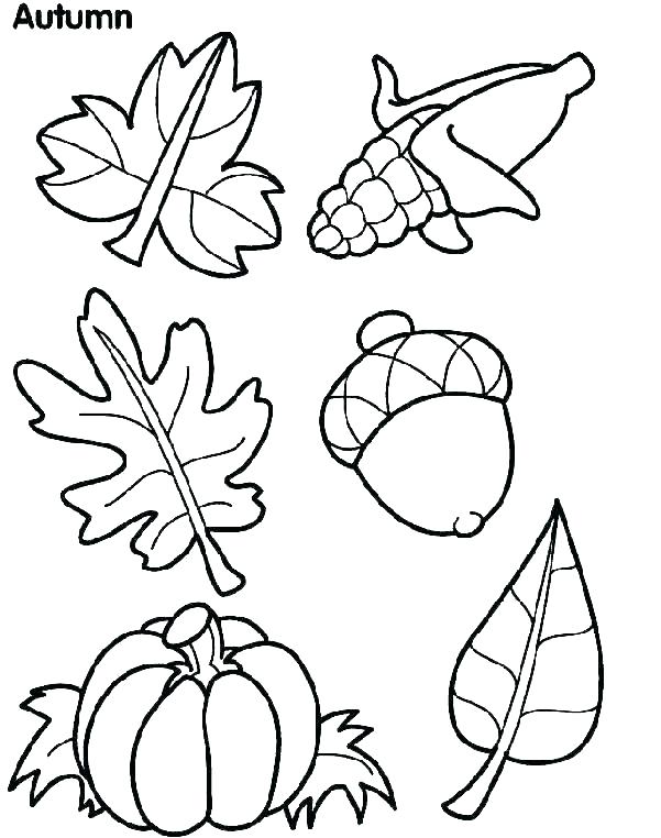 Free Coloring Pages For Fall Preschool Fall Coloring Pages 601x762 Free Coloring Pages For Fall Preschool Fall Coloring Pages