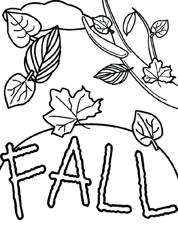 Leaf Coloring Pages Printable Vanda 601x762 Leaf Coloring Pages Printable Vanda