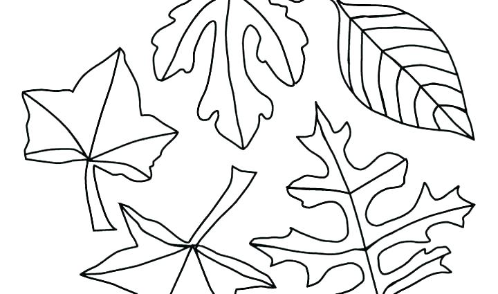 Fall Coloring Pages Kindergarten at GetColorings.com | Free printable ...