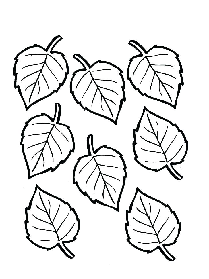 Leaf Coloring Pages 728x969 Leaf Coloring Pages