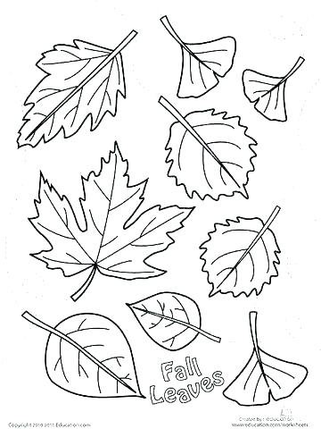 360x480 Fall Coloring Sheets For Adults
