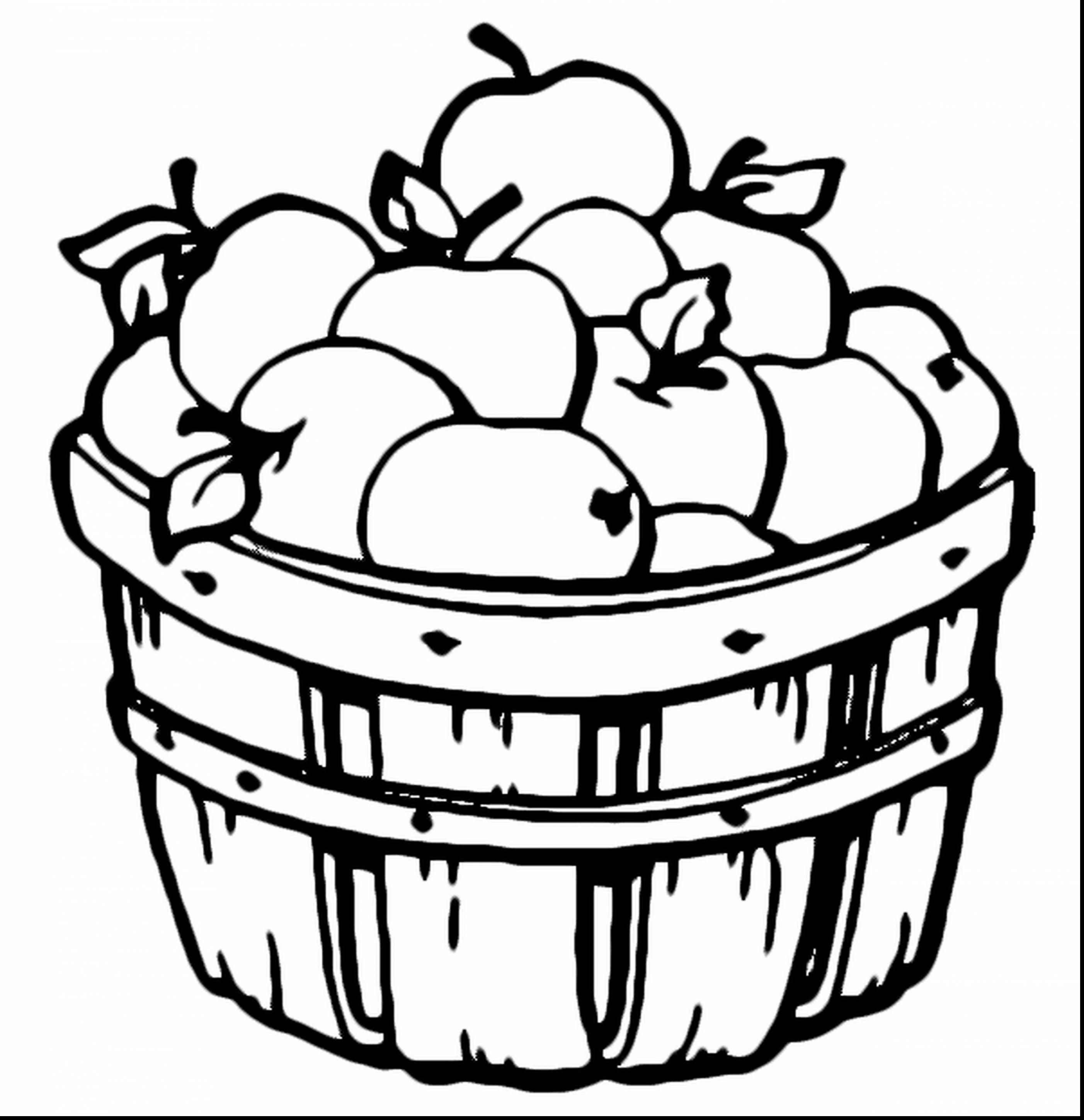 2805x2898 Printable Fall Coloring Pages Astounding Apple With Free Printable