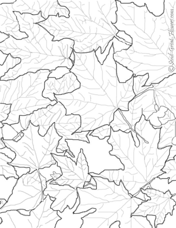 612x792 Fall Flowers Coloring Pages Printable