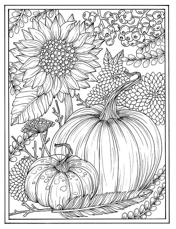 570x738 Fall Flowers And Pumpkins Digital Coloring Page Thanksgiving