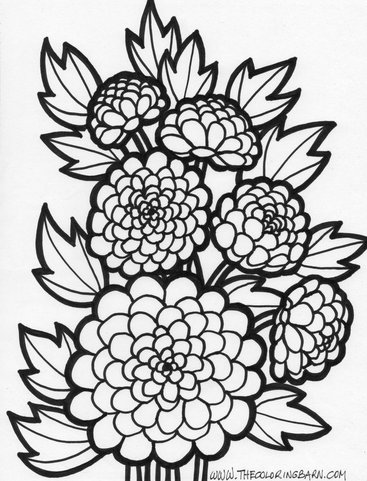 736x965 Flower Coloring Pages Project For Awesome Flower Coloring Pages