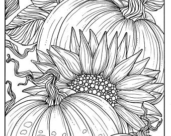 340x270 Pumpkins And Sunflower Digital Coloring Page Fall Adult