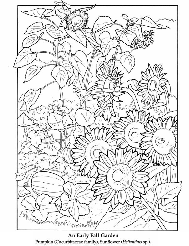 604x785 4218 Best Coloring Pages Images On Coloring Pages