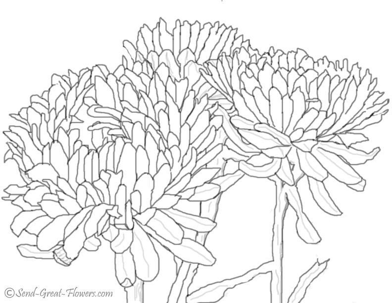 792x612 Autumn Coloring Pages