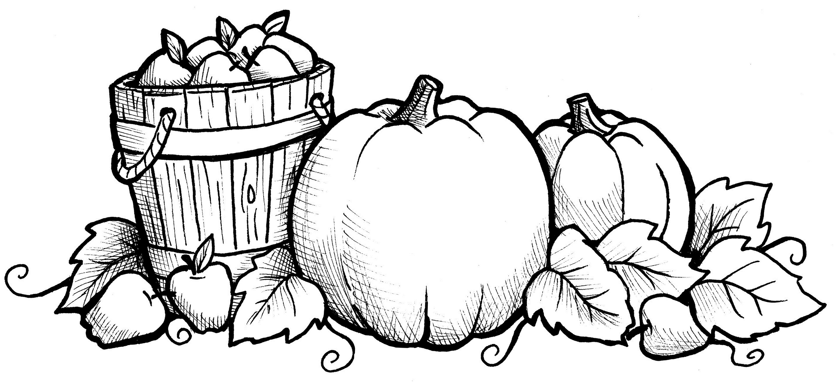 2800x1295 Harvest Coloring Pages