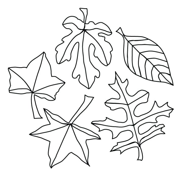 720x699 Ideas Printable Fall Coloring Pages For Kids For Fall Harvest