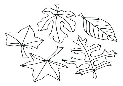 476x333 Fall Harvest Coloring Pages Fall Leaves Coloring Pages Leaf