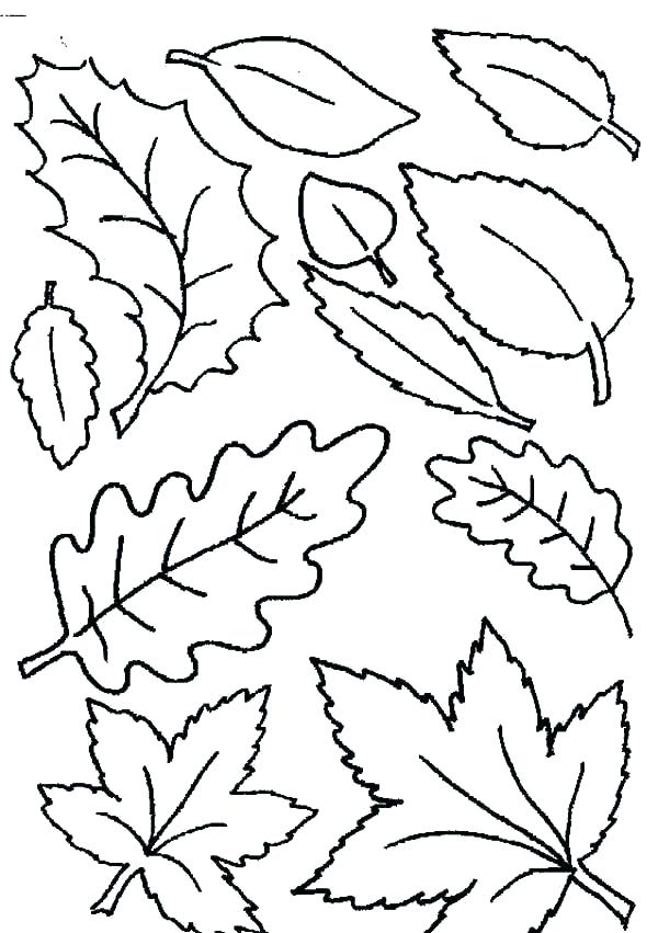 600x851 Falling Leaves Coloring Pages Coloring Pages Images Fall Leaf