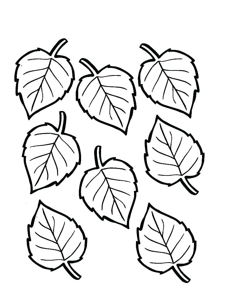 728x969 Free Printable Fall Leaf Coloring Pages Of A Best Coloring Book