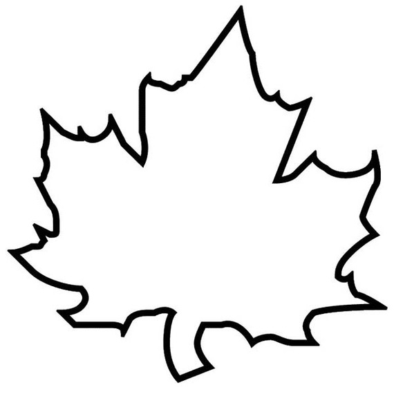 570x570 Helpful Fall Leaves Outline Maple Leaf Clipart Panda Free Images
