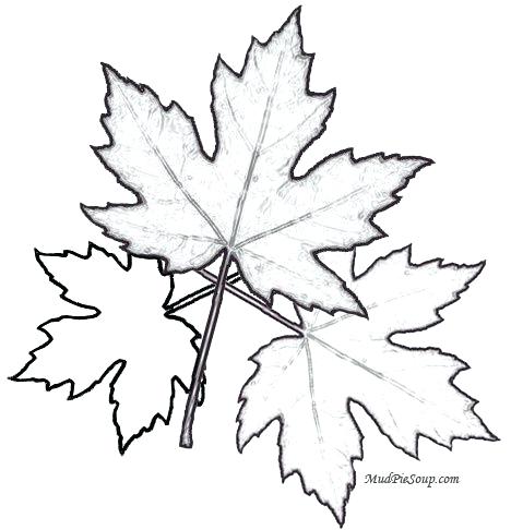 468x486 Autumn Leaf Coloring Page Coloring Pages Clip Art Etc Cute