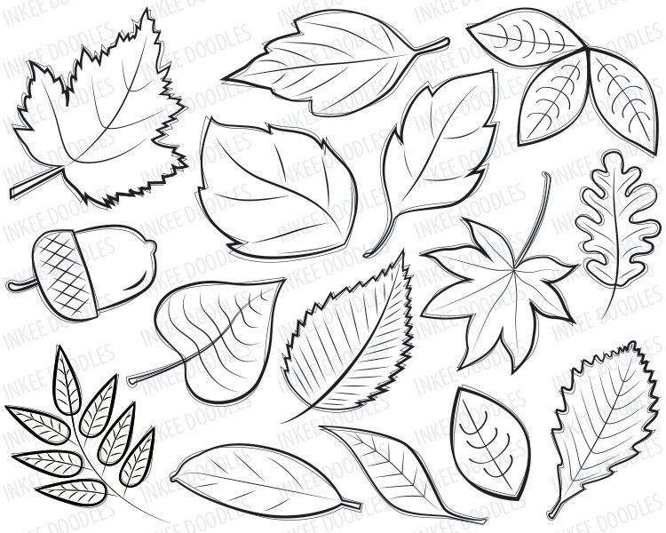 750x600 Autumn Leaves Coloring Pages For Thankful Tree