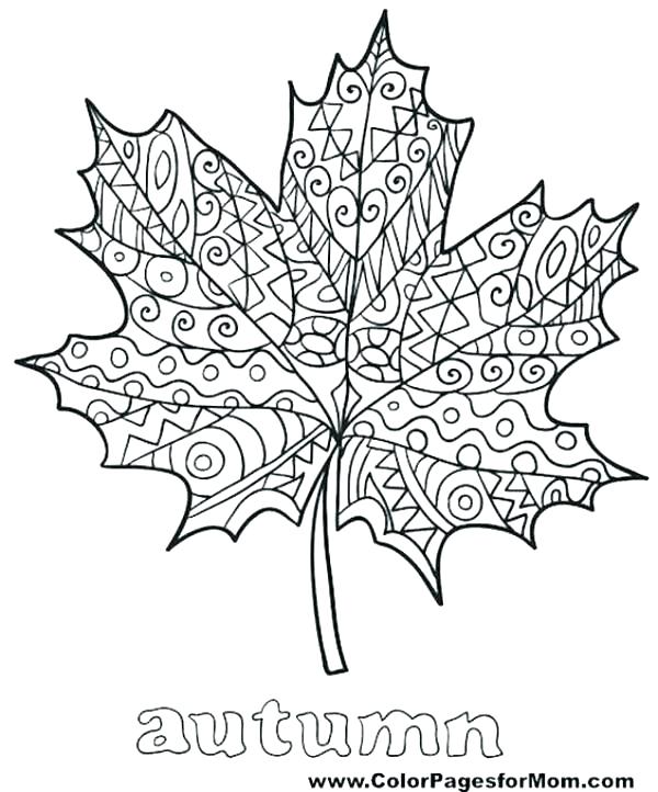 600x722 Fall Leaves Clip Art Coloring Pages Devon Creamteas