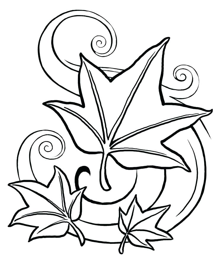 Coloring Pages Fall Coloring Pages Of Fall Leaves Leaf Color Pages 736x920 Coloring Pages Fall Coloring Pages Of Fall Leaves Leaf Color Pages
