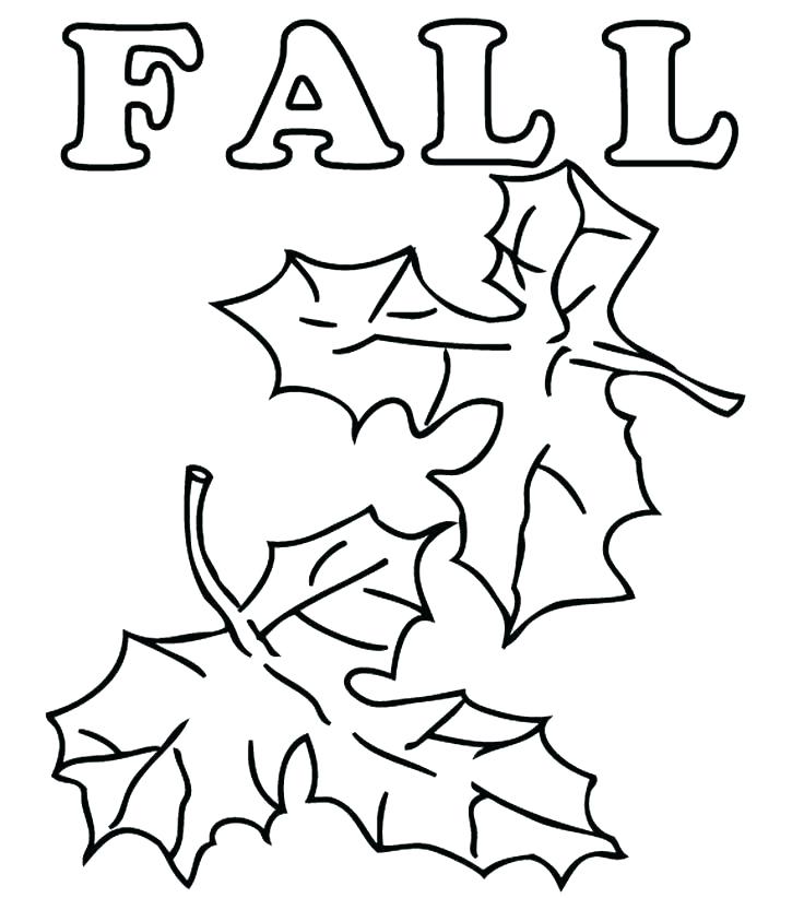 Leaf Coloring Pages Preschool Leaf Coloring Pages 736x822 Leaf Coloring Pages Preschool Leaf Coloring Pages