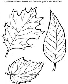 Leaves Printablesstencilstemplates Leaves 236x288 Leaves Printablesstencilstemplates Leaves